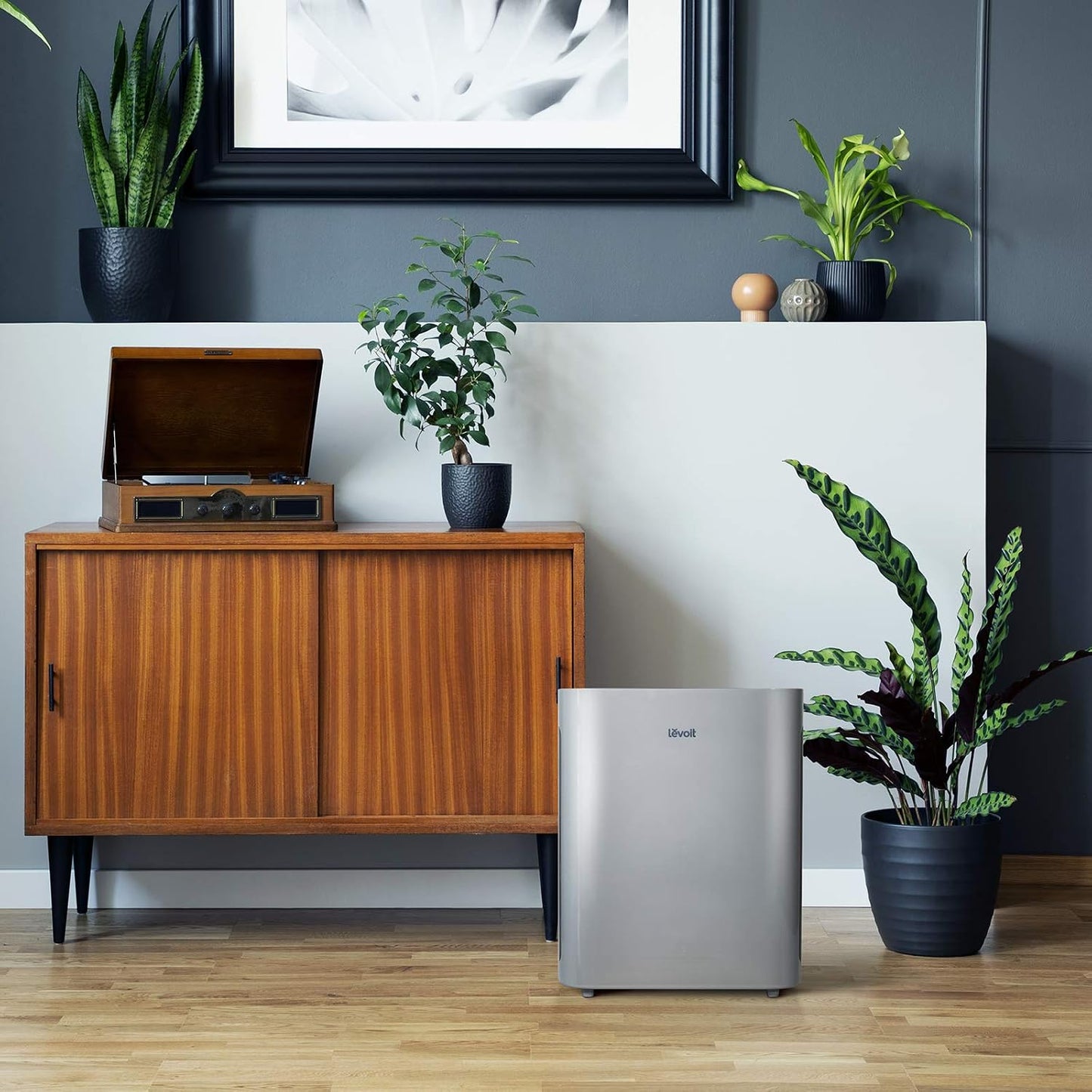 Levoit Air Purifiers for Bedroom Home Pets Dorm Room, Small Air Purifiers